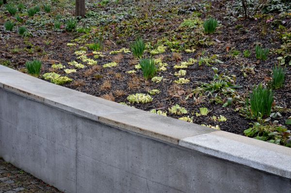 Cost of Walls Pouring Service in Woodinville