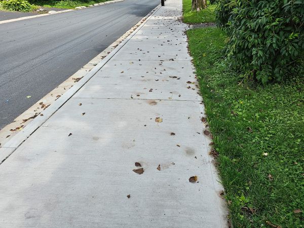 Cost of Sidewalk Renovation in Woodinville
