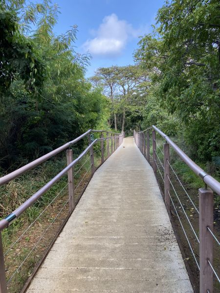 Cost of Footpath Construction in Woodinville