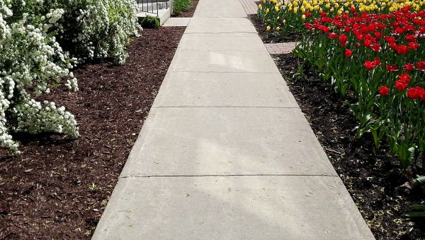 Cost of Cement Sidewalk Installation in Woodinville