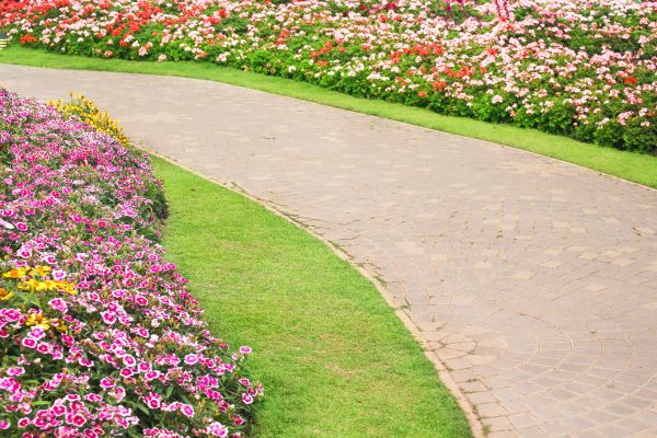 Cost of Concrete Walkway Service in Woodinville